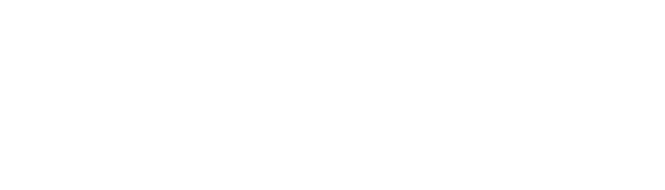 Torus